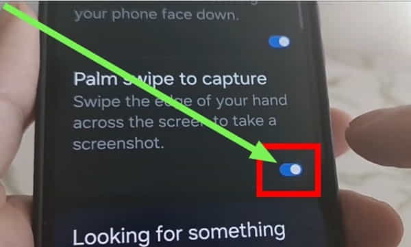 Palm screenshot option a13